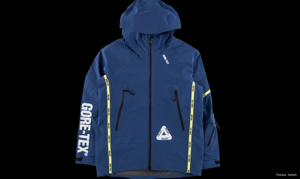 Cheap Palace Palex Gore-Tex Jacket 0708